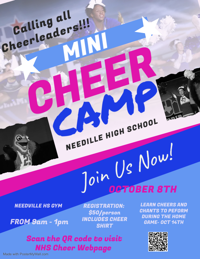 Mini Cheer Camp Flyer