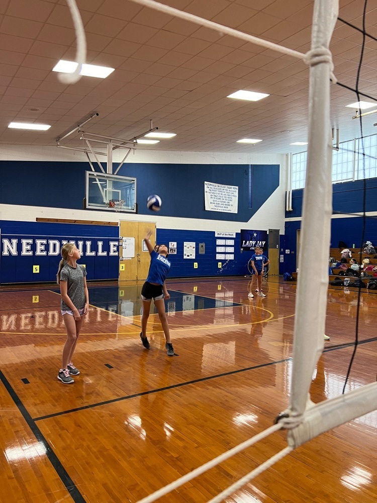 Live Feed Needville Middle School 0202