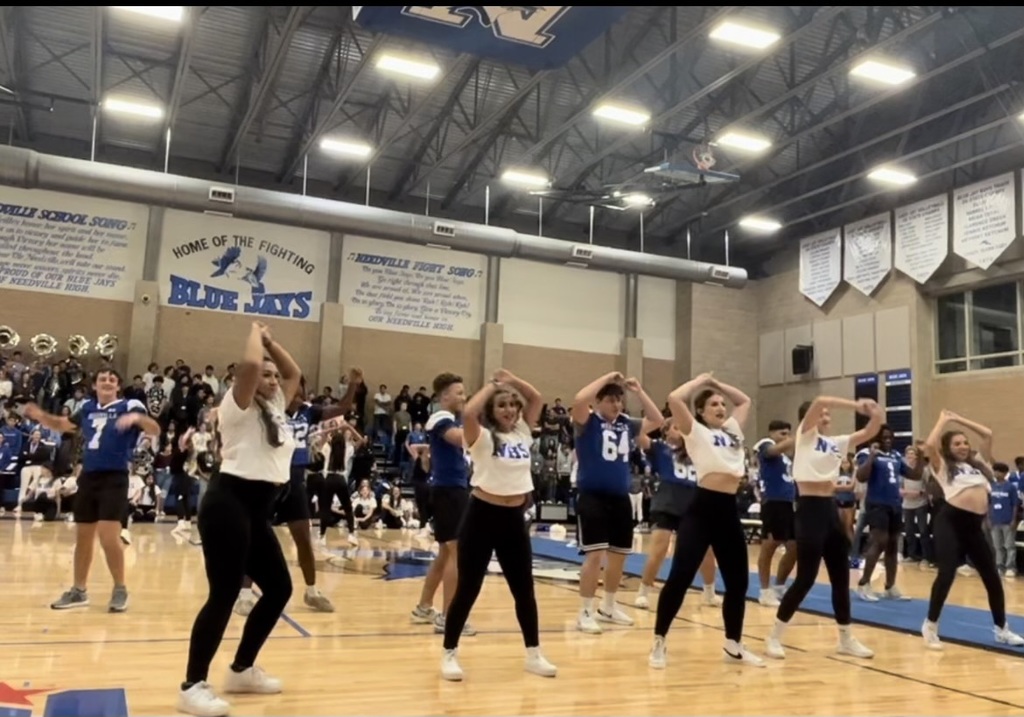  Needville High School Blue Jays T-Shirt C3 : Clothing, Shoes &  Jewelry